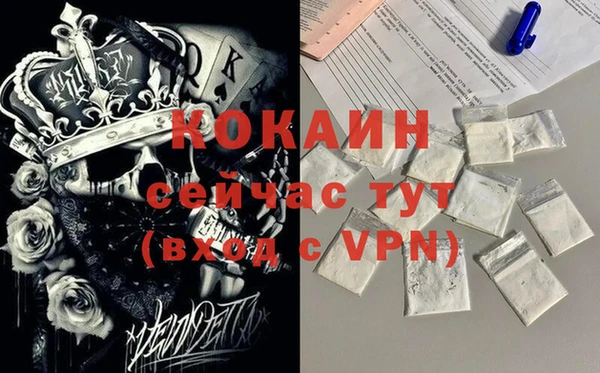 СК Алексин