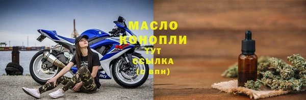 СК Алексин