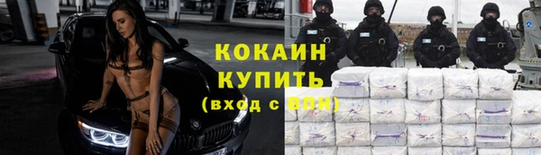 СК Алексин