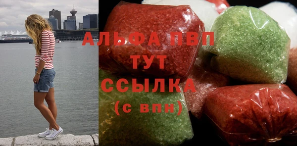 СК Алексин