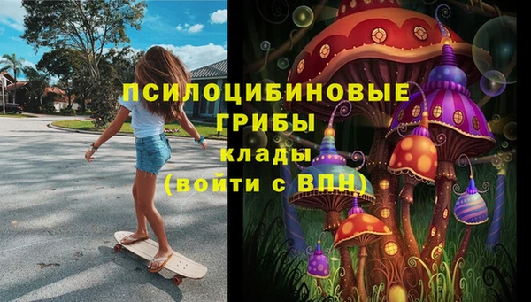 эйфоретик Алзамай