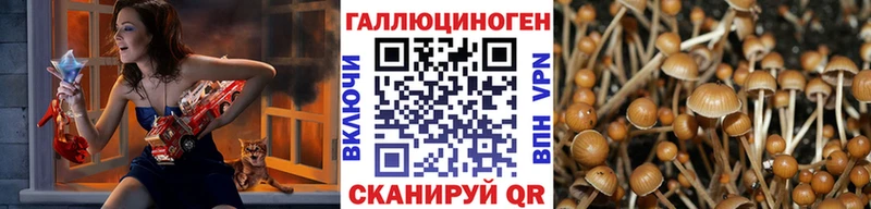 Галлюциногенные грибы GOLDEN TEACHER что такое OMG ONION Тихвин